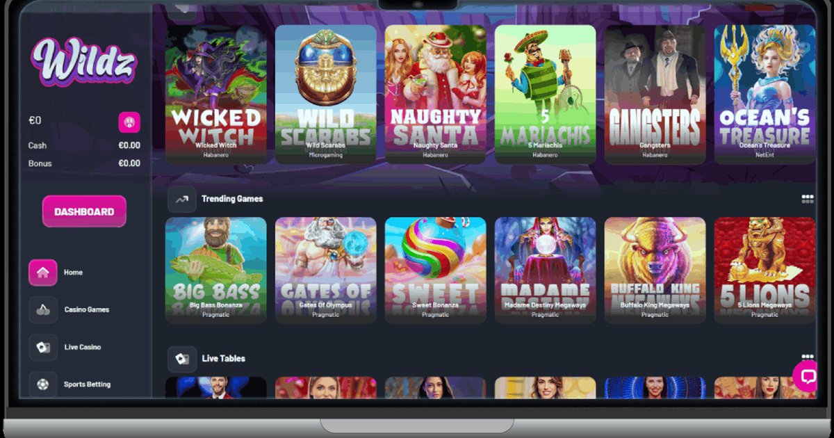 Aper&ccedil;u de l'interface Wilzy Casino